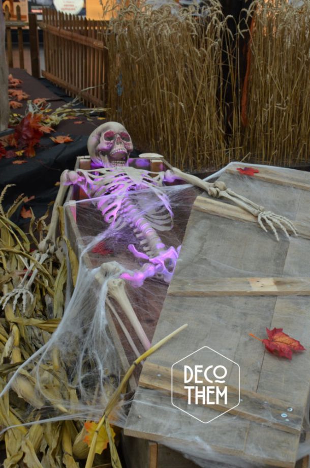 Décoration Halloween Marin Centre, cercueil, squelette, toiles d'araignées, maïs, champ de blé