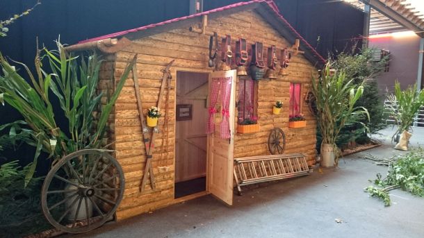 Chalet en bois